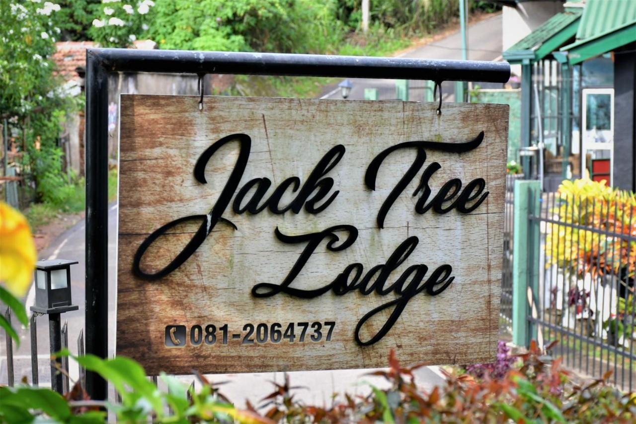 Jack Tree Lodge Kandy Exterior foto