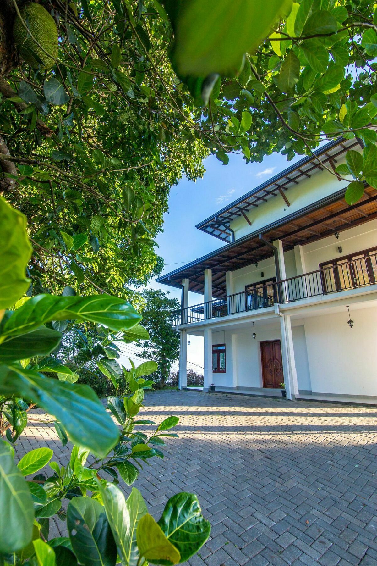 Jack Tree Lodge Kandy Exterior foto